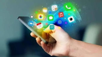 浙江小程序與APP軟件開發成功案例分析